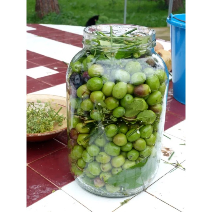 Olives Cassées de Caspe | Olives Artisanales